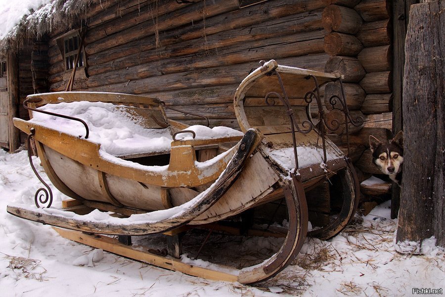 Солянка