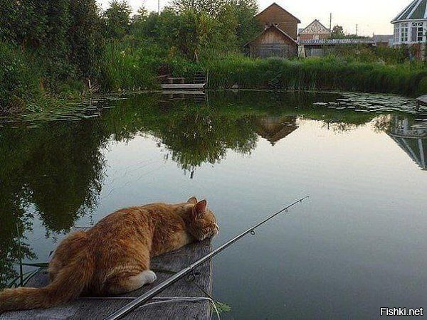 Первая рыбка моя