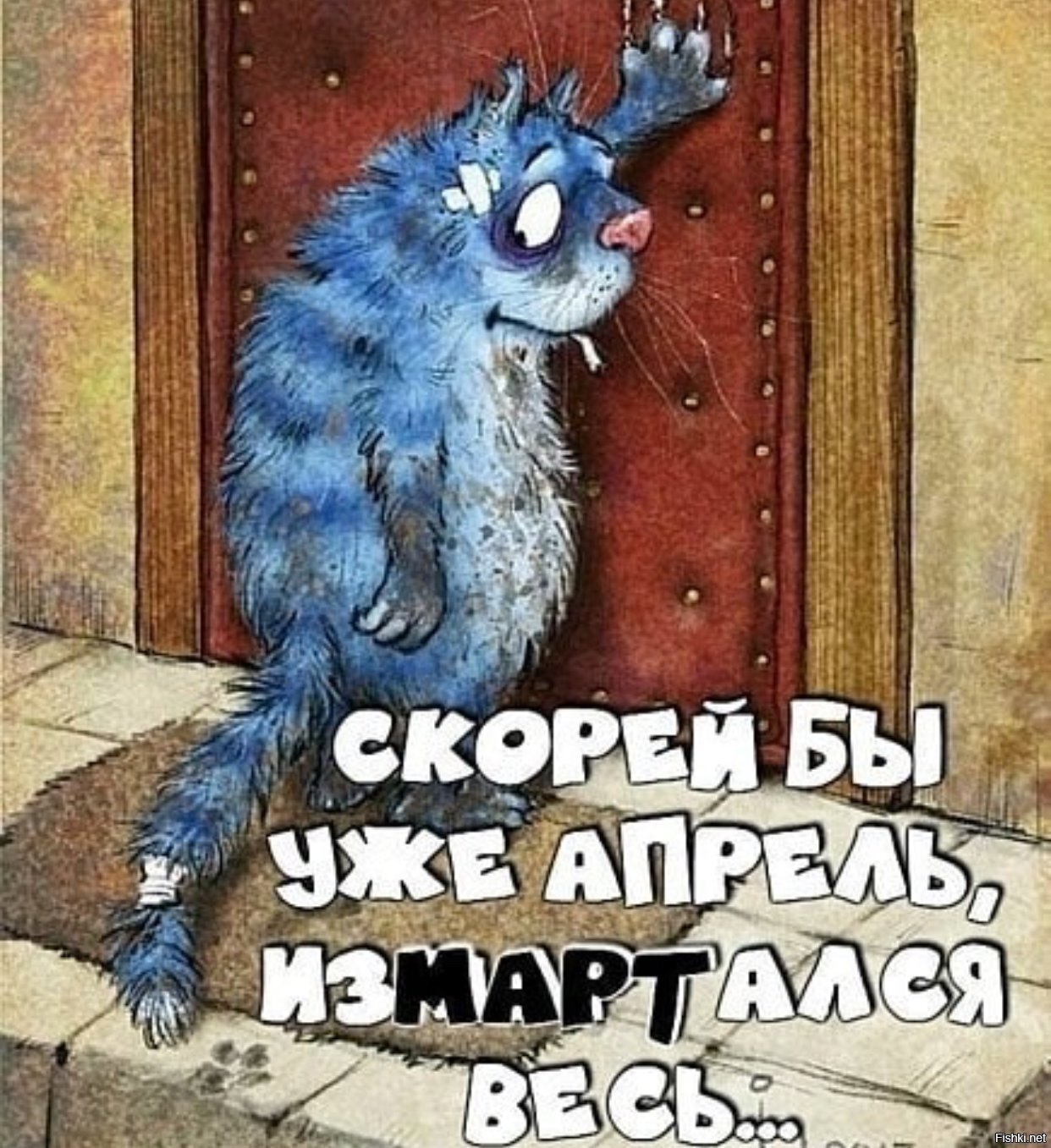 Солянка