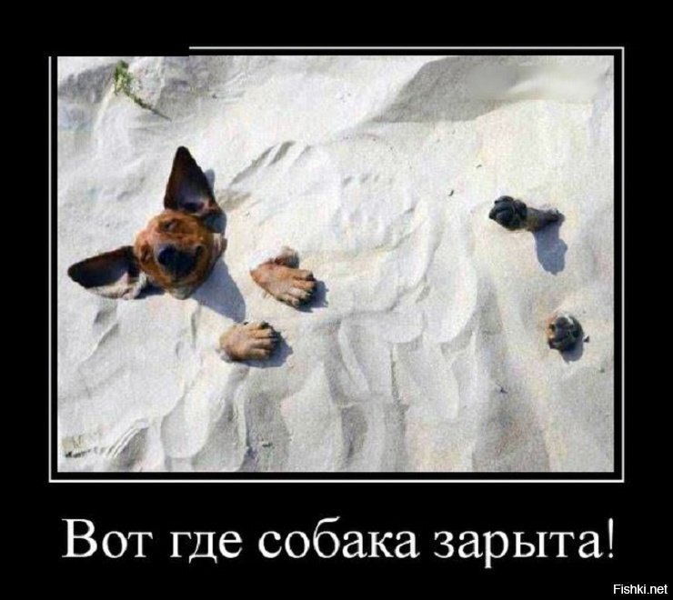 ДЗЕН