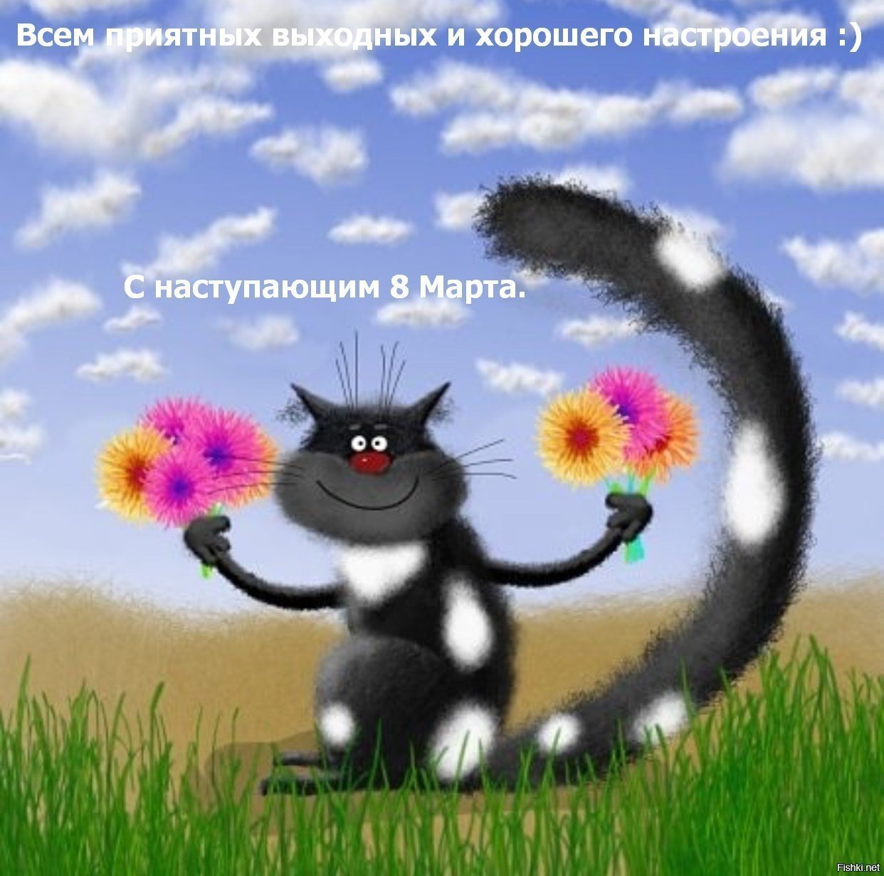 Солянка