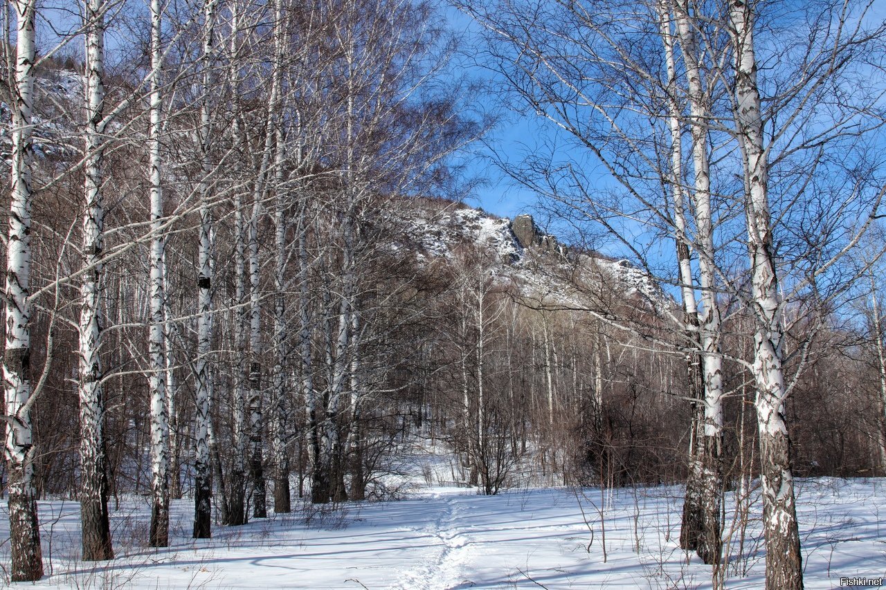 Солянка