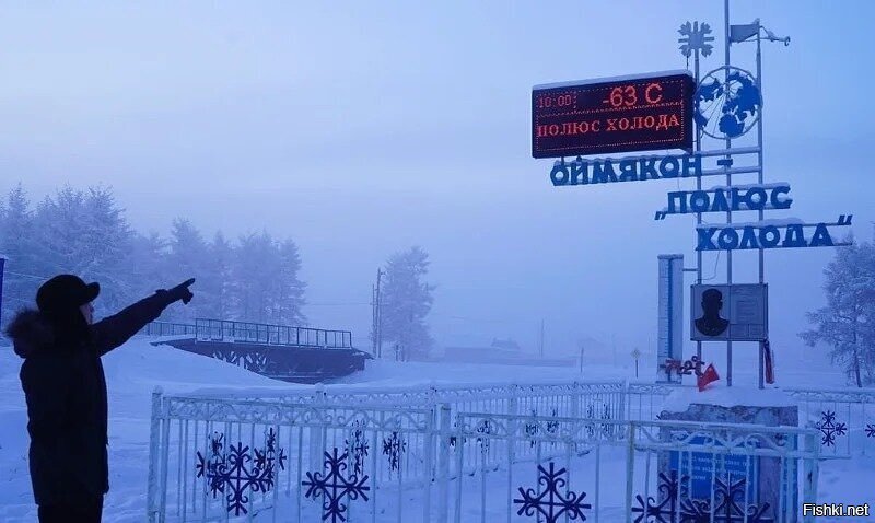 Солянка