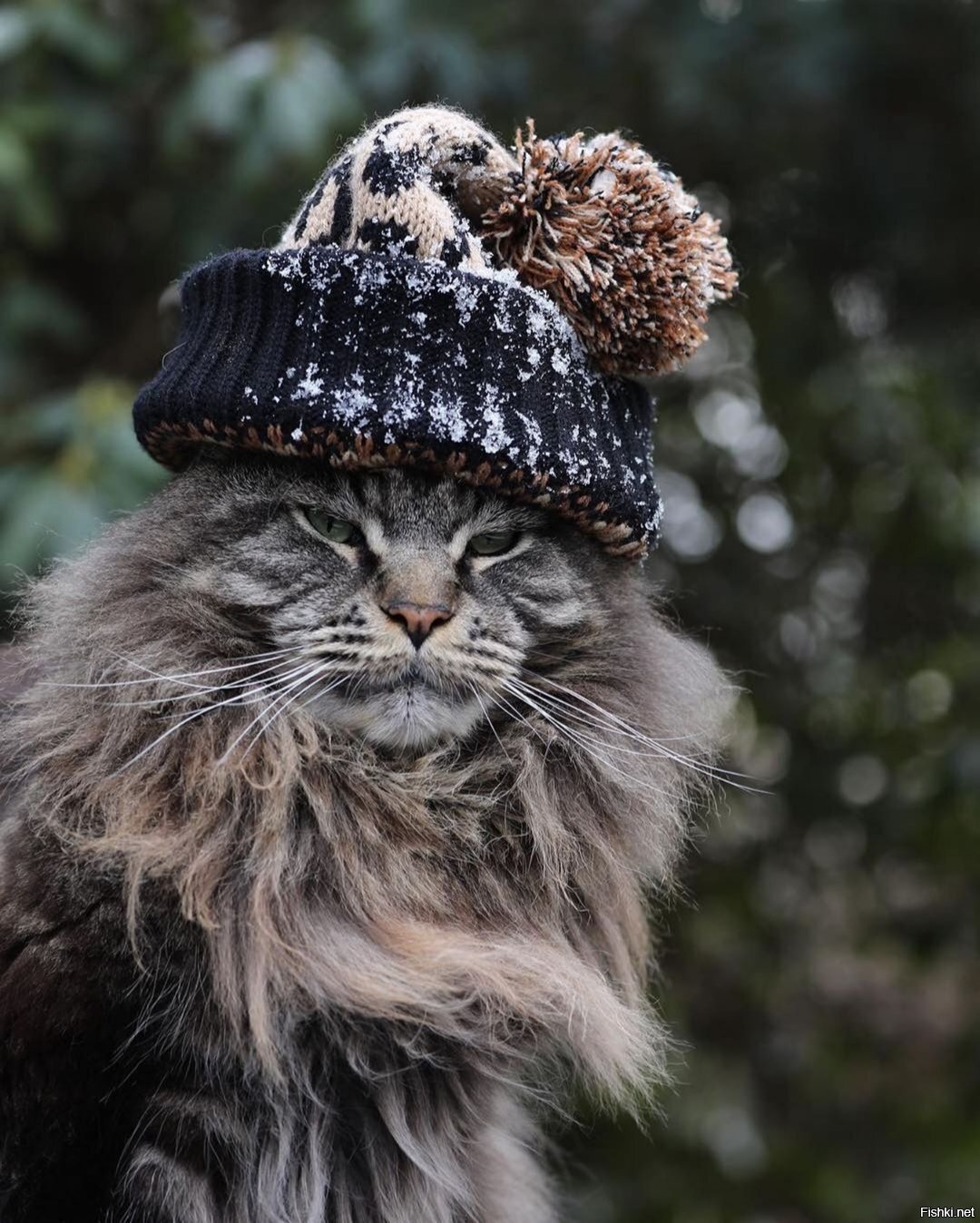 Солянка