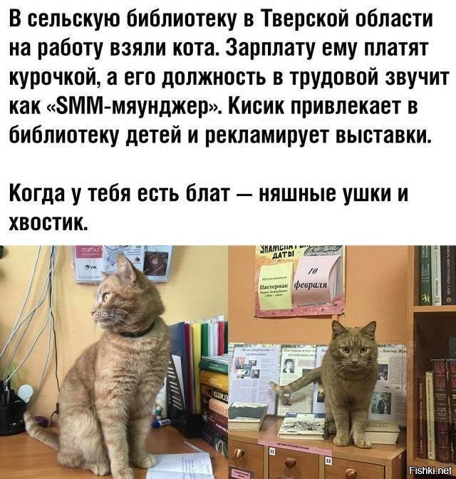 Кадры решают всё