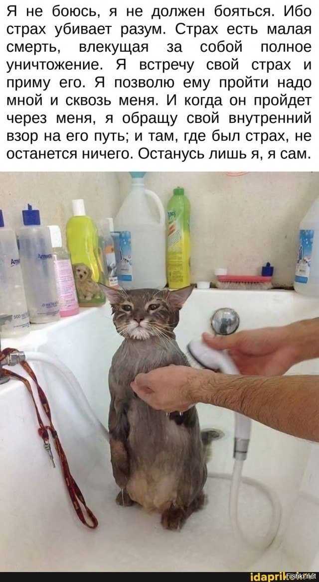 Не все поймут, а только избранные ;)