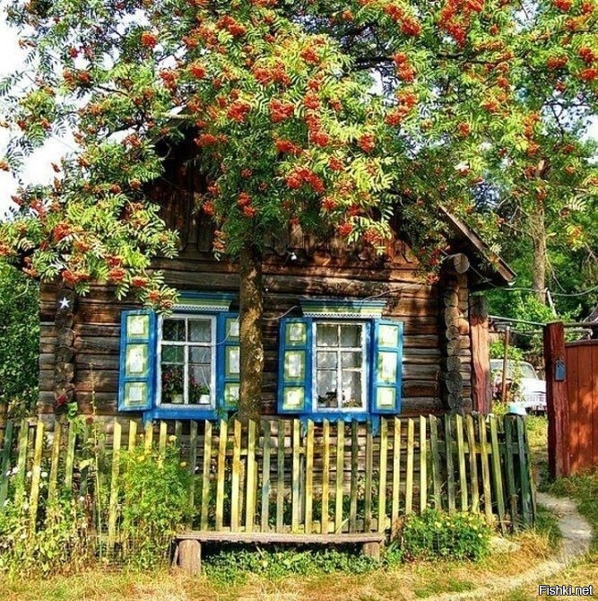 Солянка