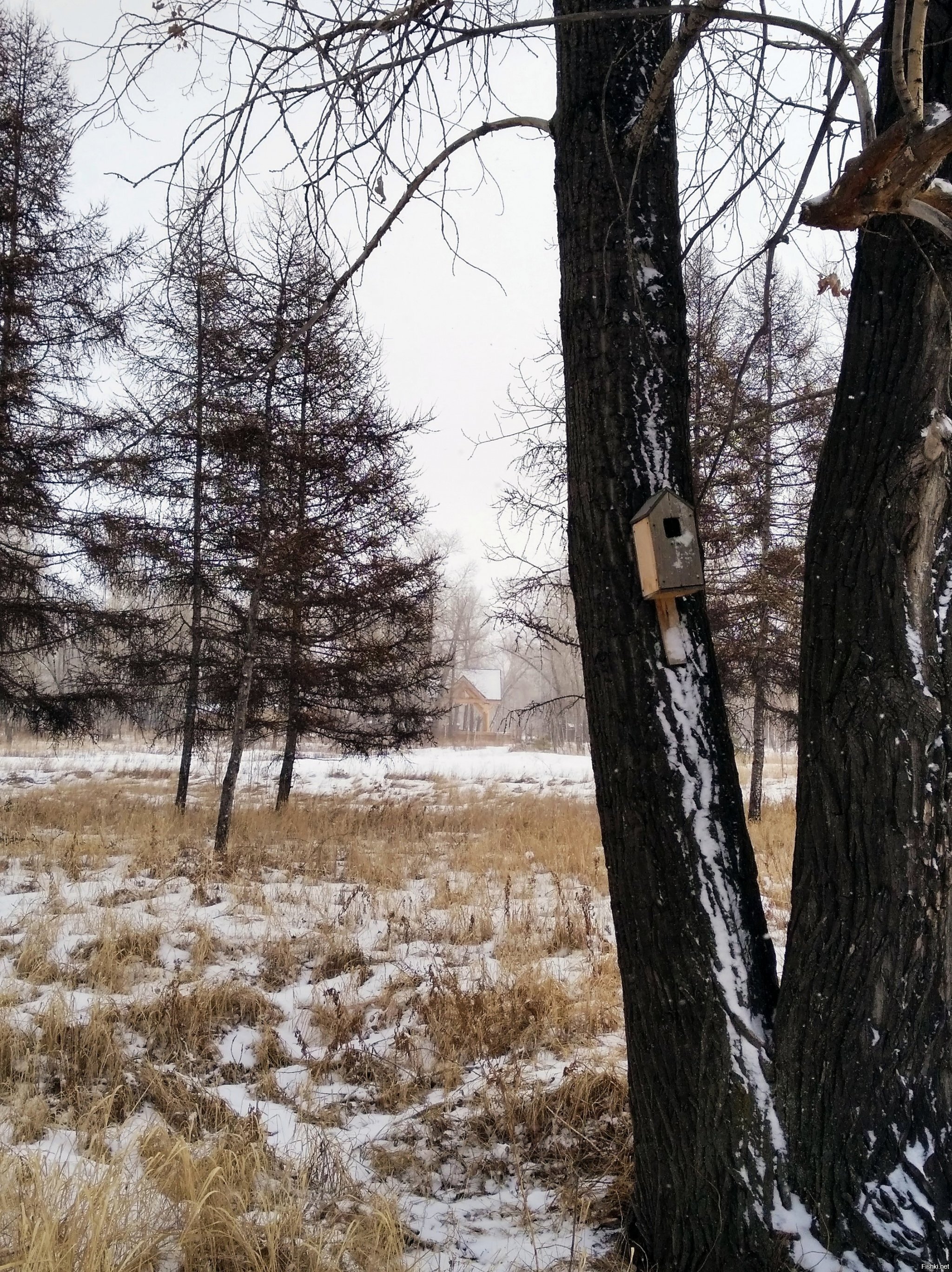 Красноярск, Татышев