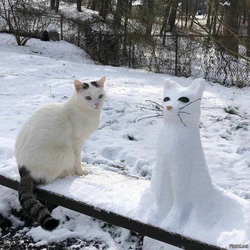 Заказчик остался доволен