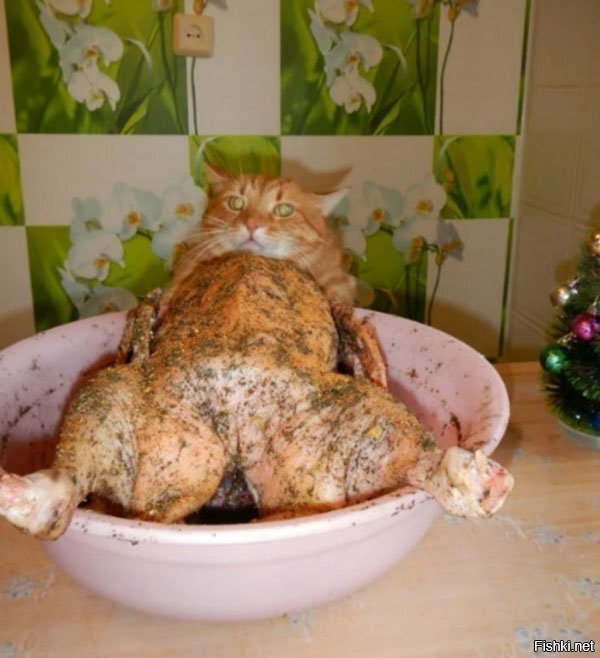 Солянка