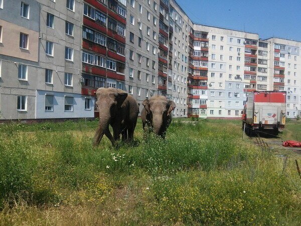 Всё в разнобой