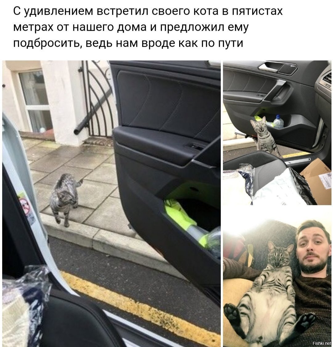 Минута милоты в ленту