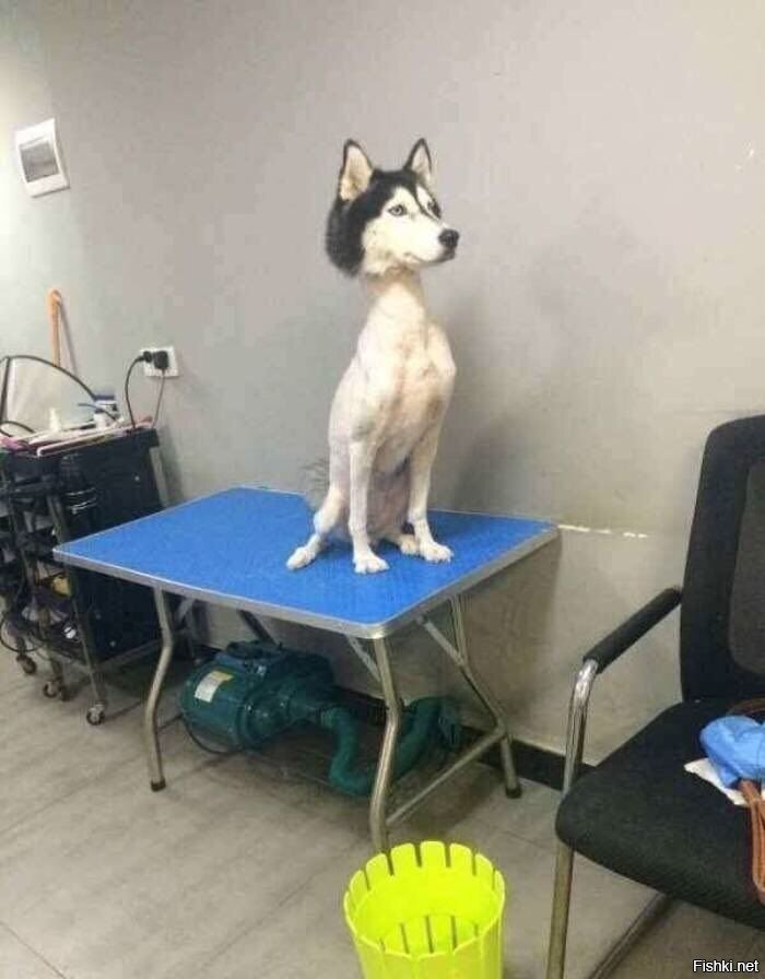 Солянка