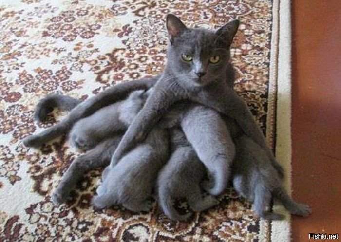 Охапка