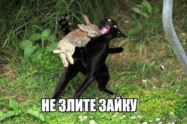 Спокойной ночи и
