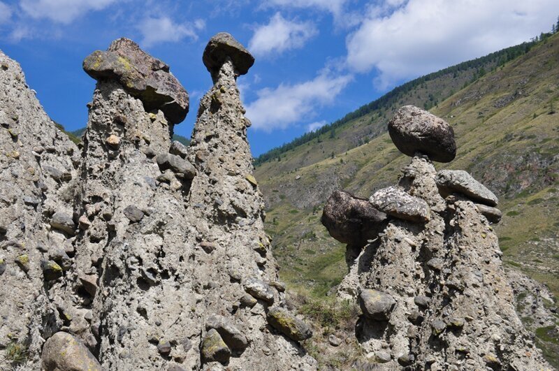 Каменные грибы алтай фото