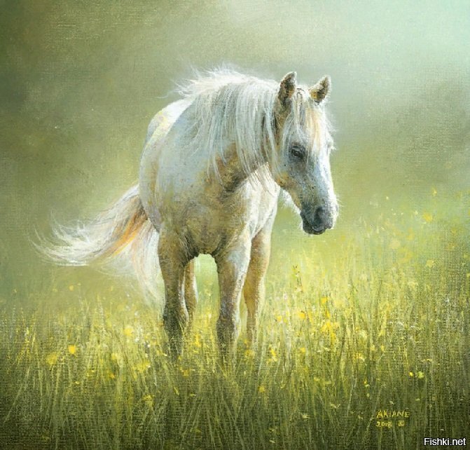 Рисунок Акианы Крамарик