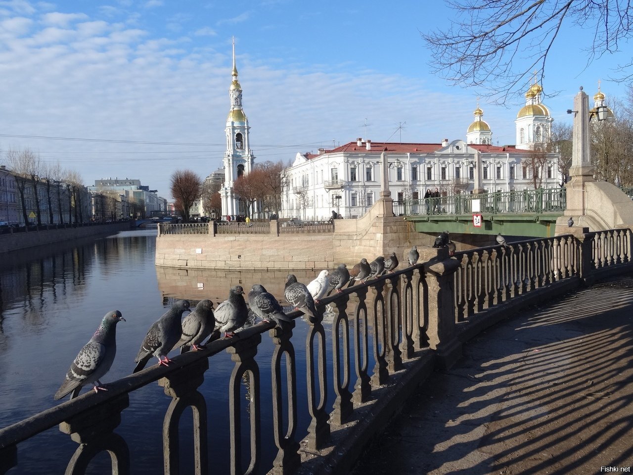 Прогулка у Крюкова канала