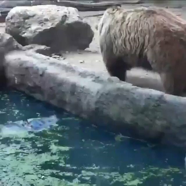 А мы, люди