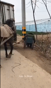 Помог своему хозяину