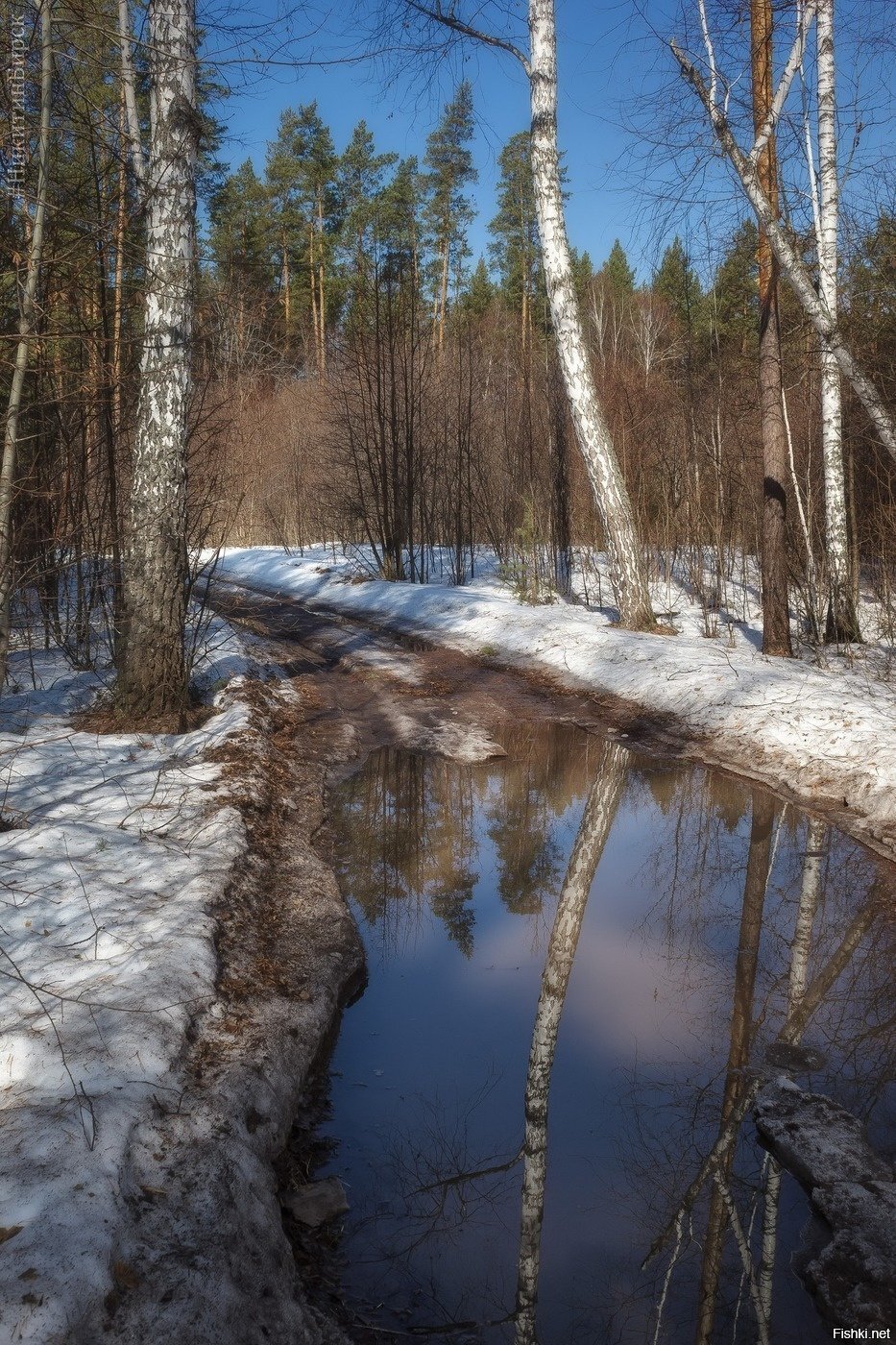 Весна