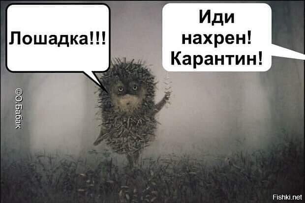 А вот Солянщикам  коронавирус не грозит, да и карантин им по фиг