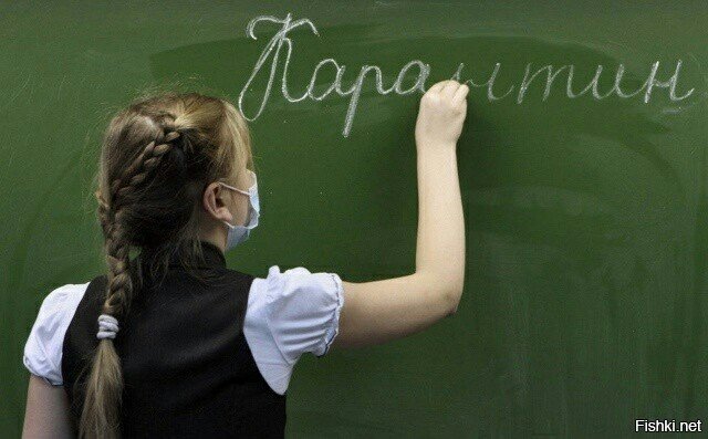 У нас в городе закрывают на карантин школы