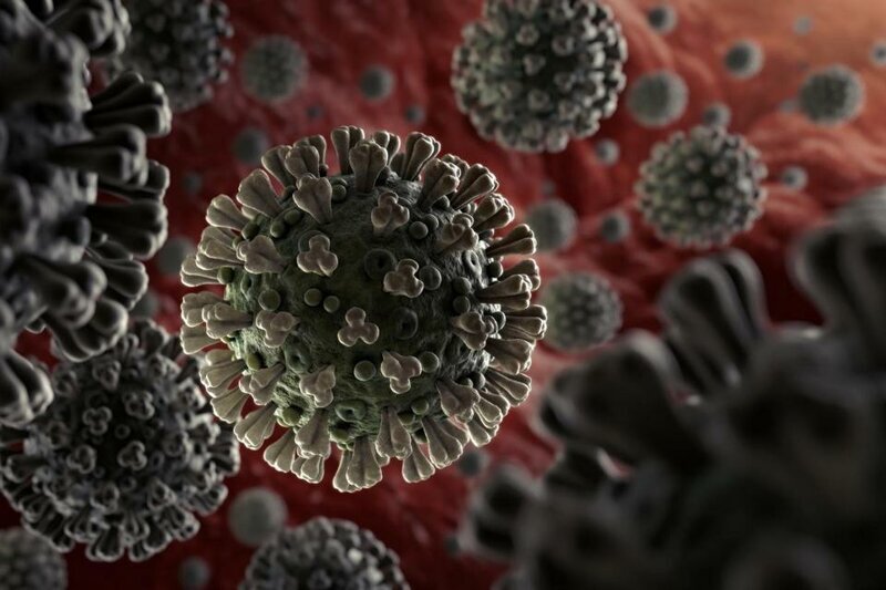 Причины небывало быстрого распространения коронавируса в Китае и по миру