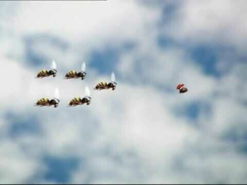 Солянка