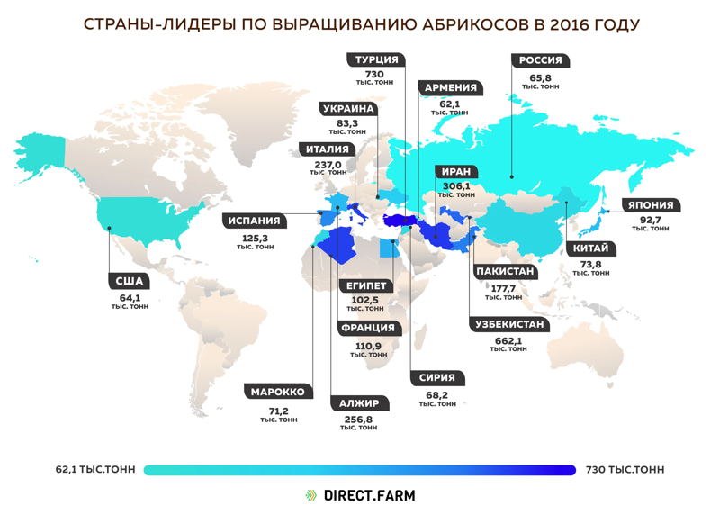 Страны-лидеры по производству абрикосов