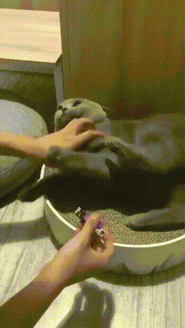 Мотивация
