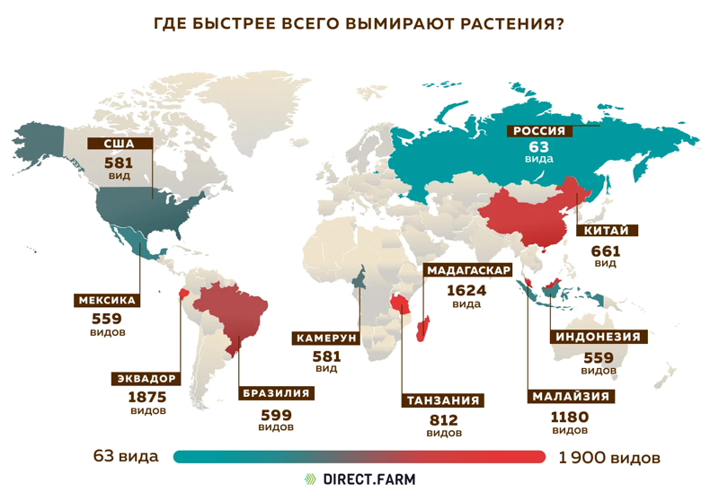 Где быстрее всего вымирают растения?