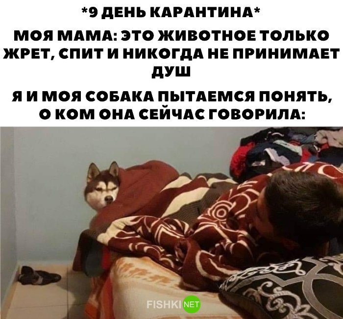 Прикольные и смешные картинки