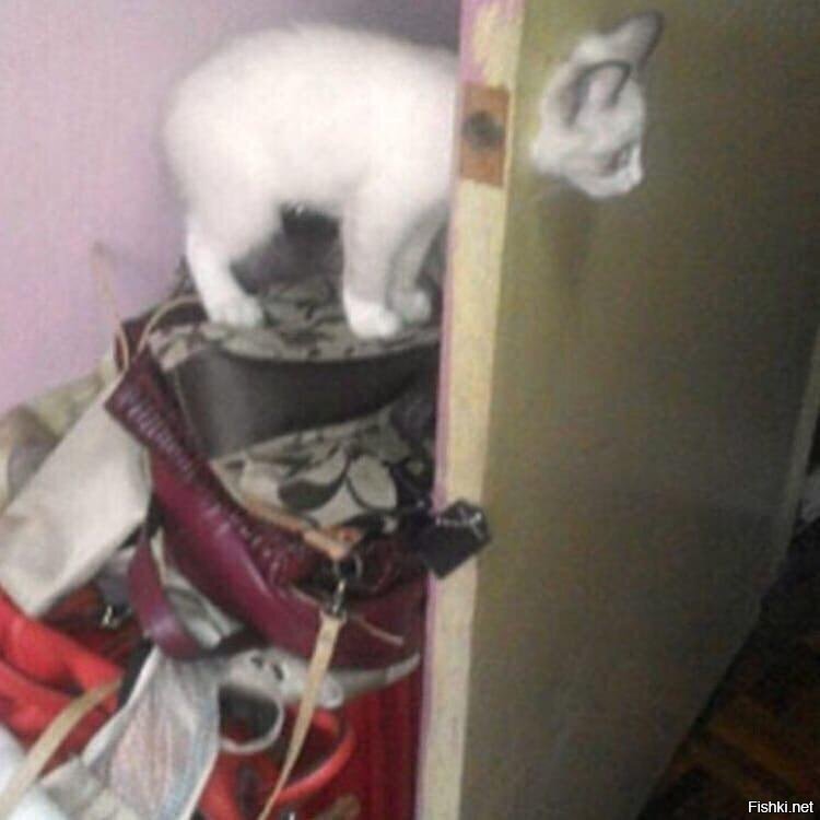 Дратути