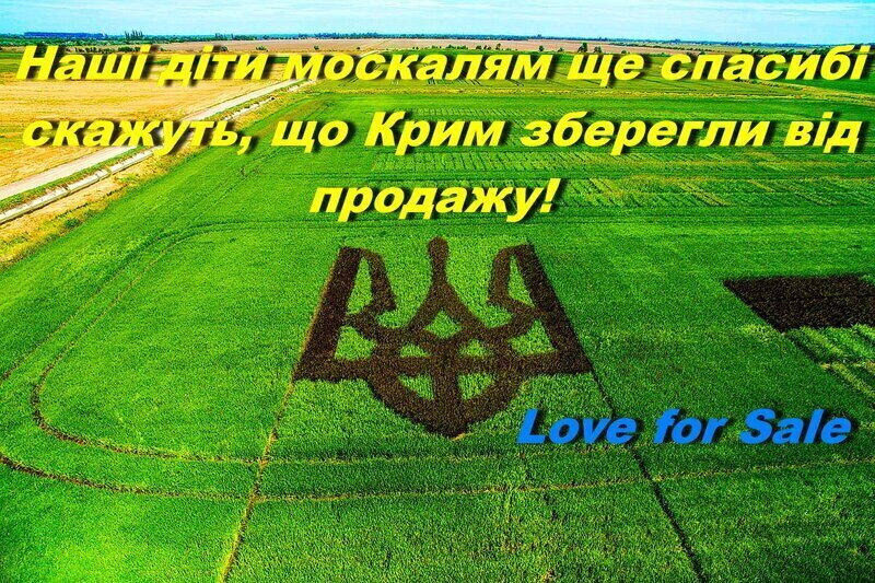 Plantation Boys с запахом печенек госдепа США
