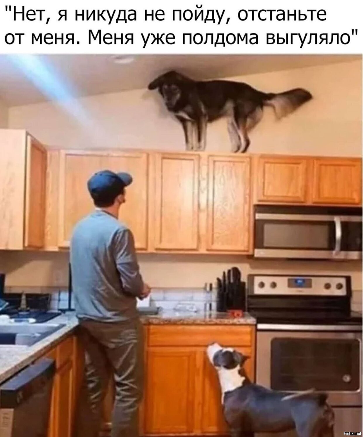 Солянка