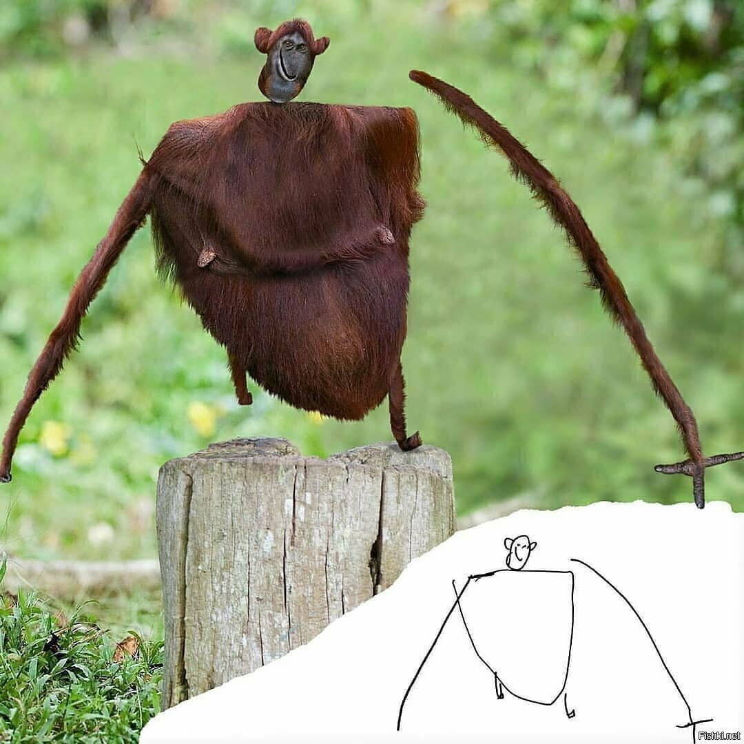 Детские рисунки в жизни