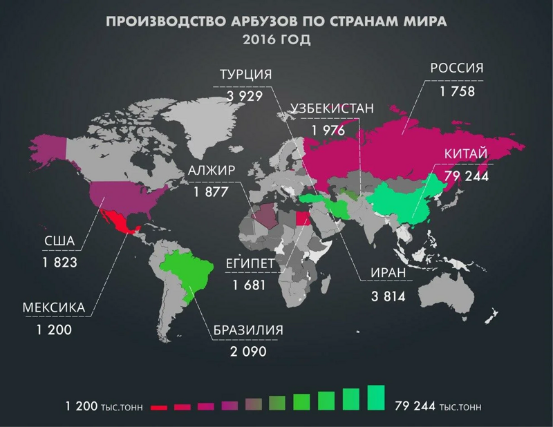 Страны-лидеры по выращиванию арбузов