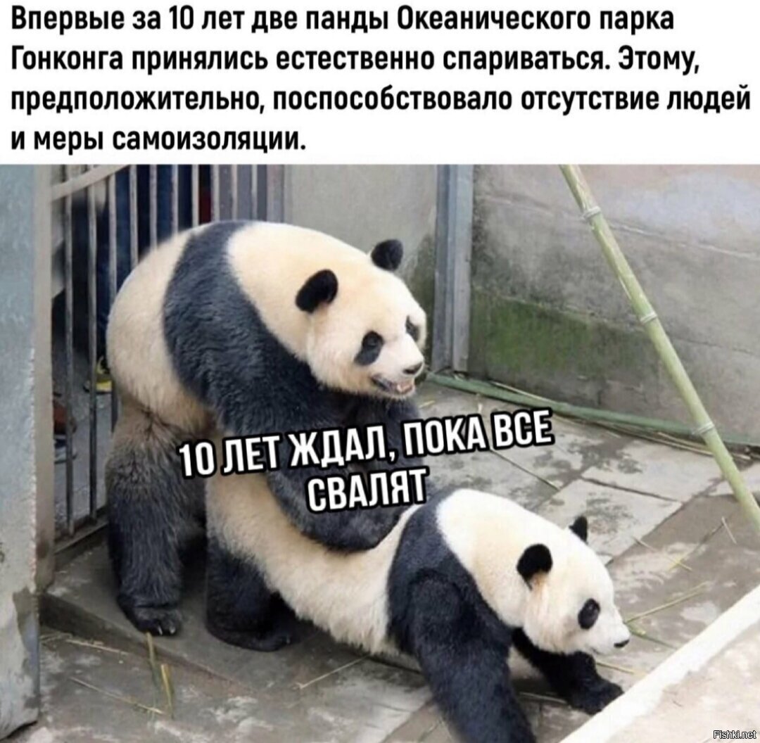 Галочку надо