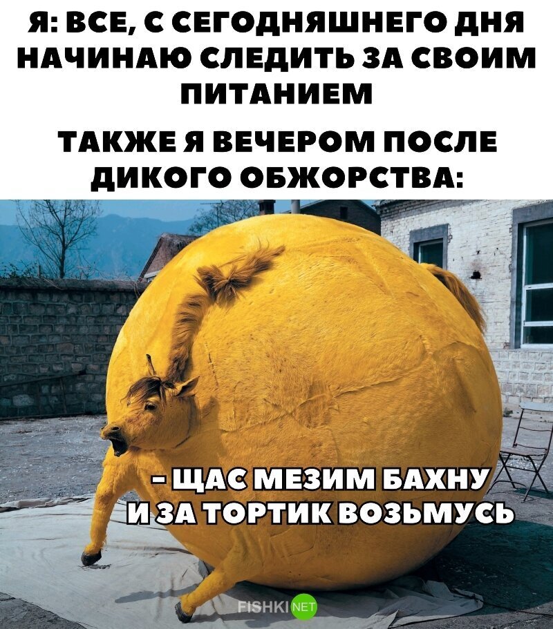 Смешные картинки