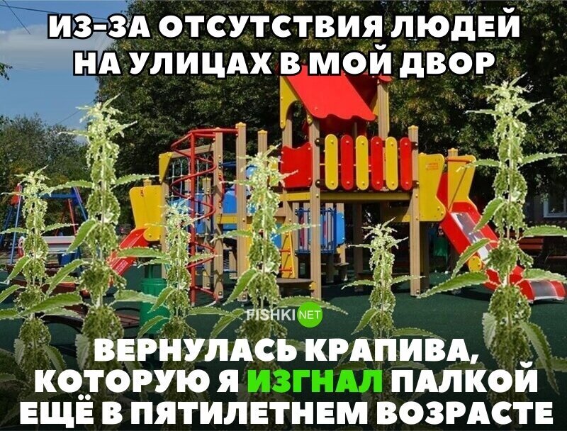 Смешные картинки