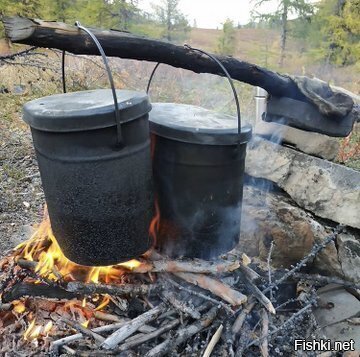 Солянка