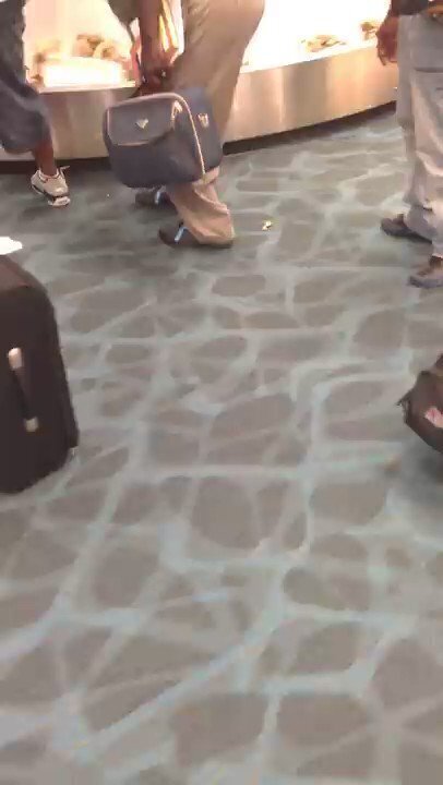 Сотни крабов выбежали из пассажирской сумки в аэропорту