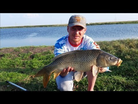 Ловля Карпа летом Казахстан 2019, Зеленый Гай, 1 часть