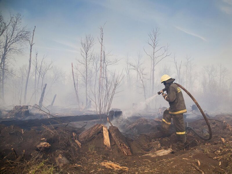 Почему украинские власти не справляются с тушением пожаров в Чернбыльской зоне