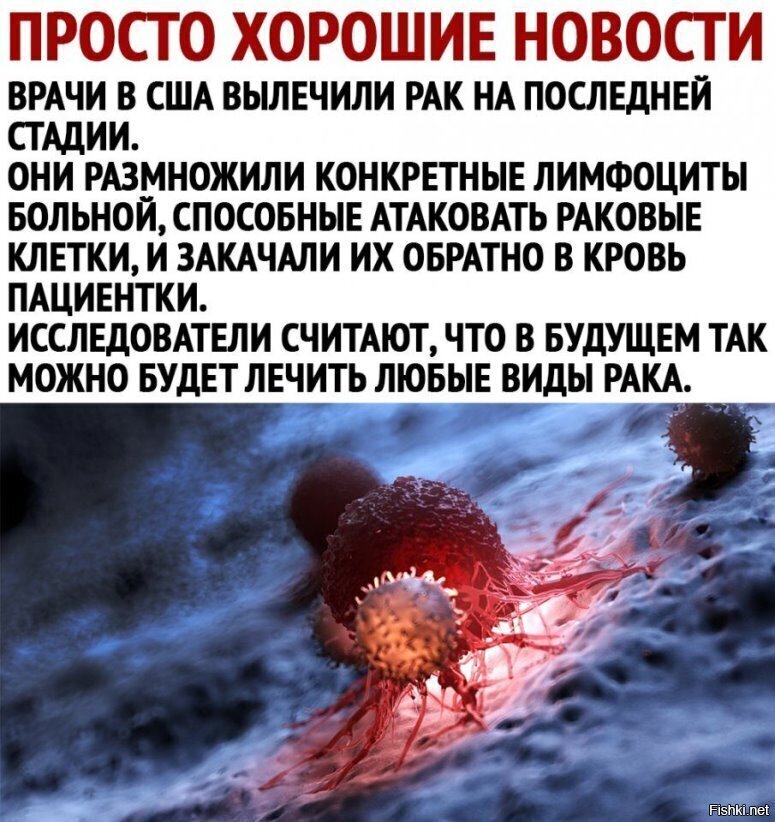 Дай то Бог