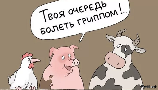 Анекдоты