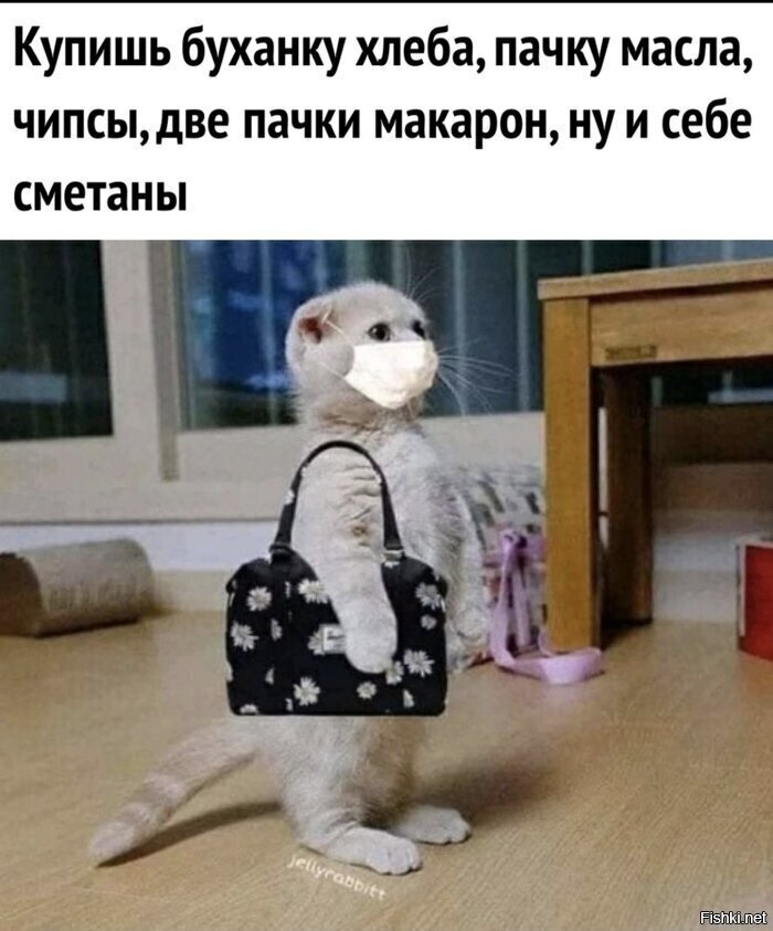 Анекдоты