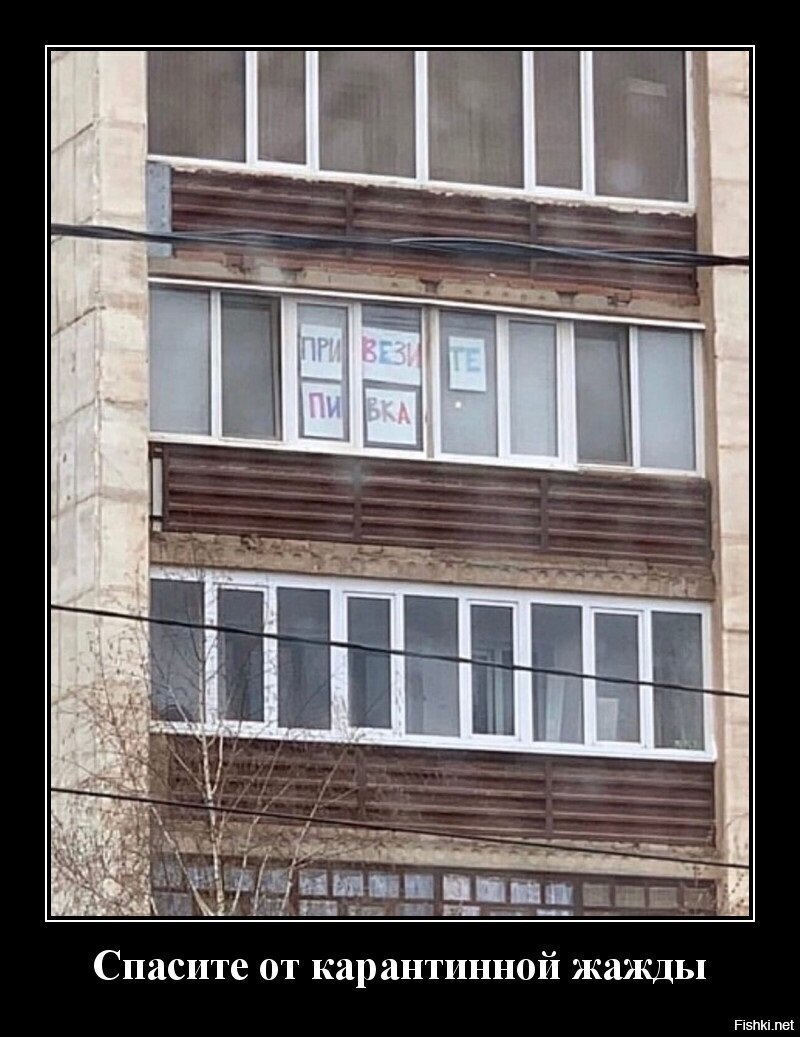Анекдоты