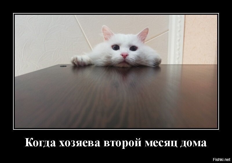 Анекдоты